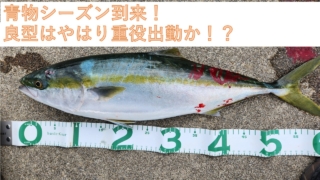 Thumbnail of post image 002